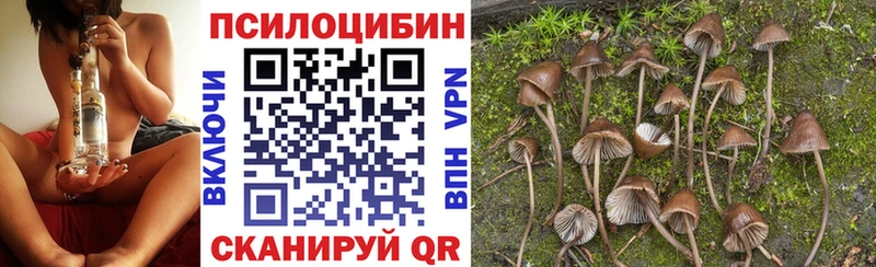 Псилоцибиновые грибы Cubensis  цена   Сольвычегодск 